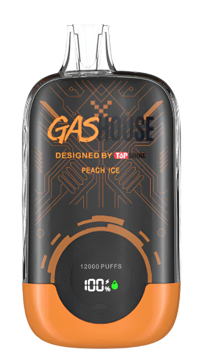 GASHOUSE 12K DISPOSABLE VAPE - 5% NICOTINE