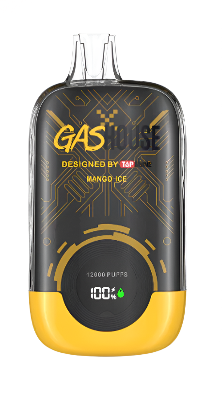 GASHOUSE 12K DISPOSABLE VAPE - 5% NICOTINE